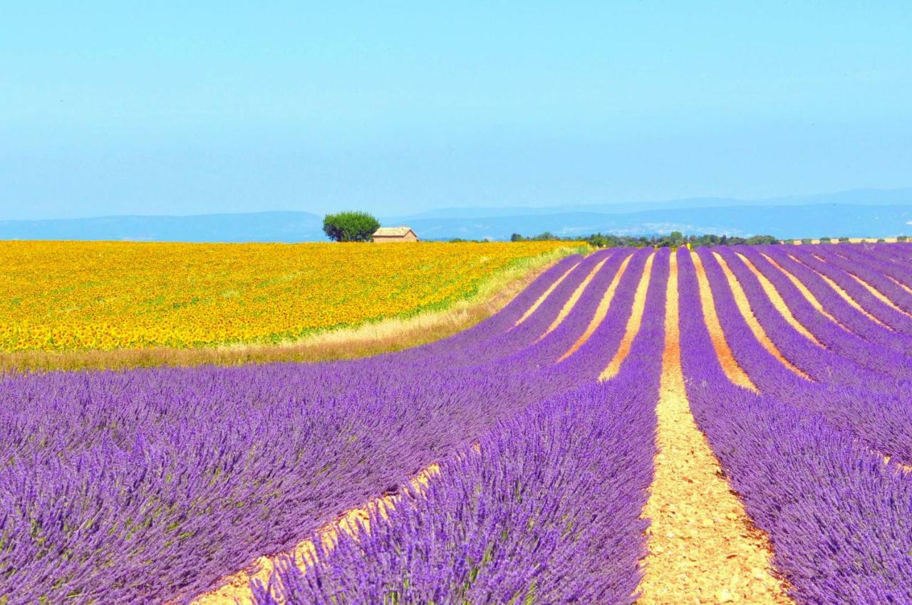 הוילה Robion en Luberon Ferme St Roch מראה חיצוני תמונה